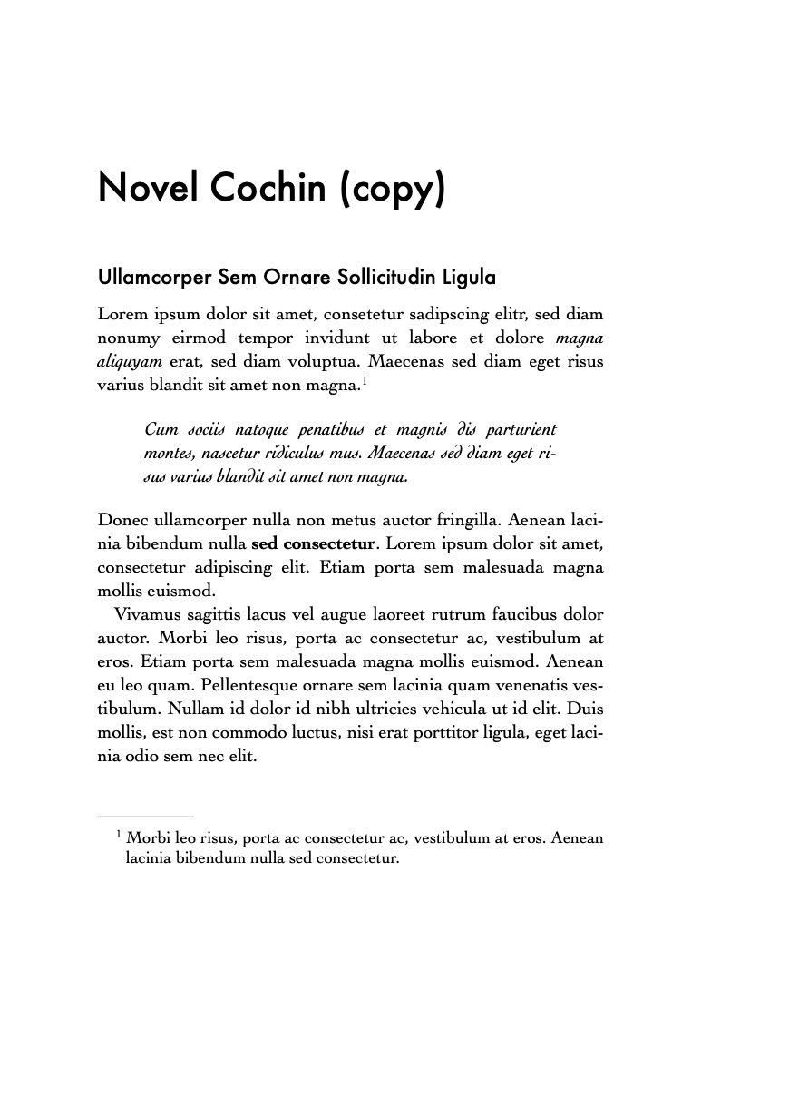 Novel Cochin (copy) Preview 1