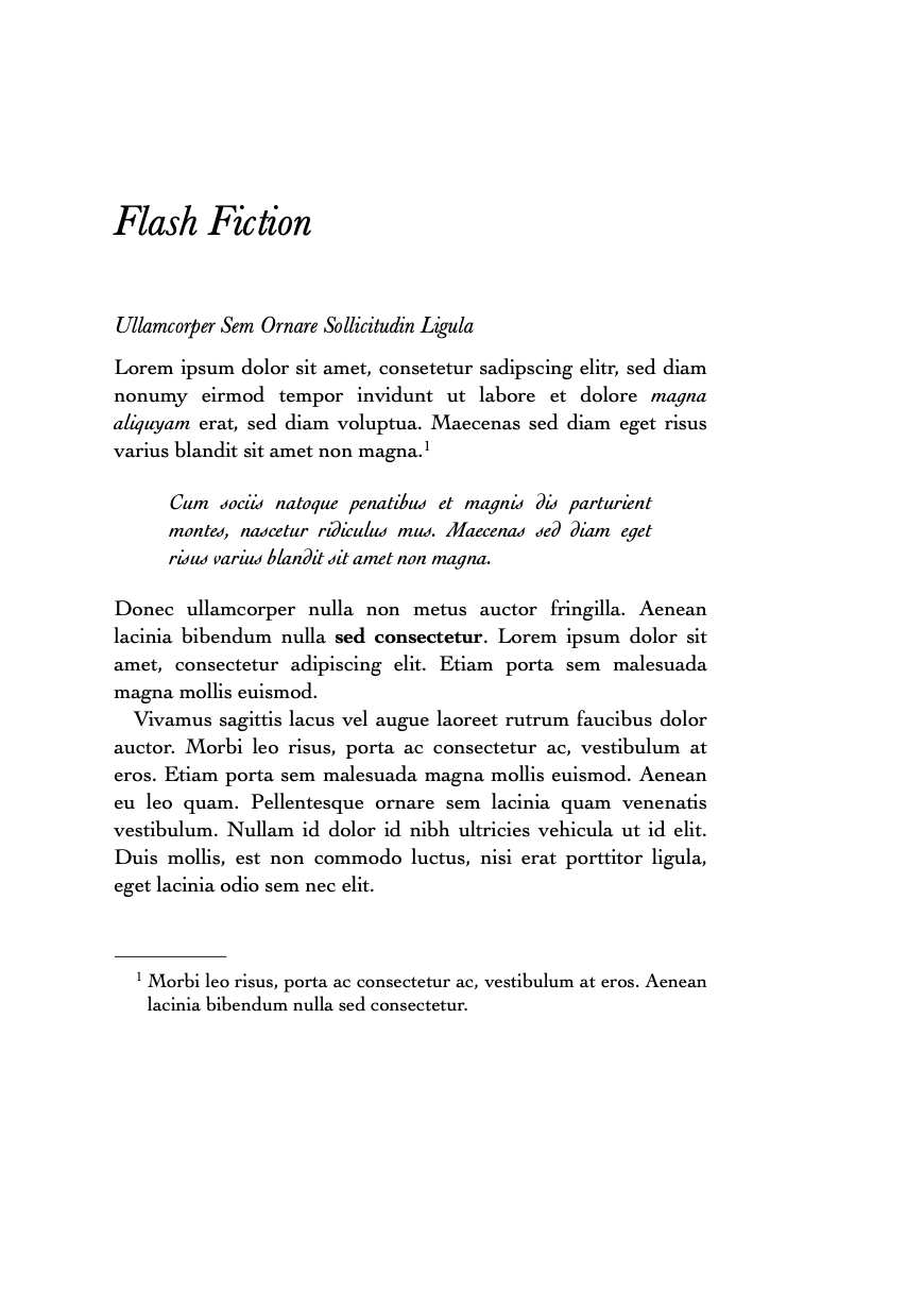 Flash Fiction Preview 1